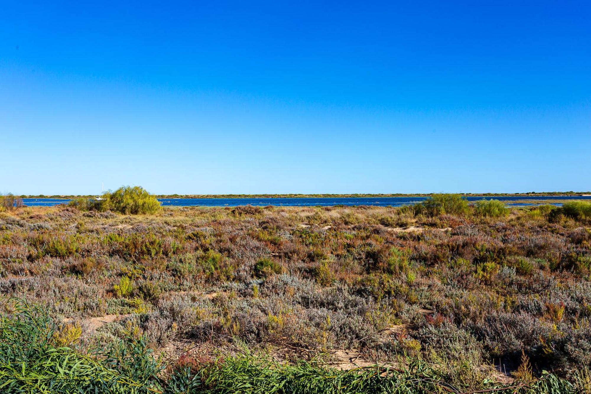 Nesha Cabanas Paradise Tavira Bagian luar foto